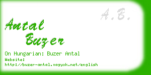 antal buzer business card